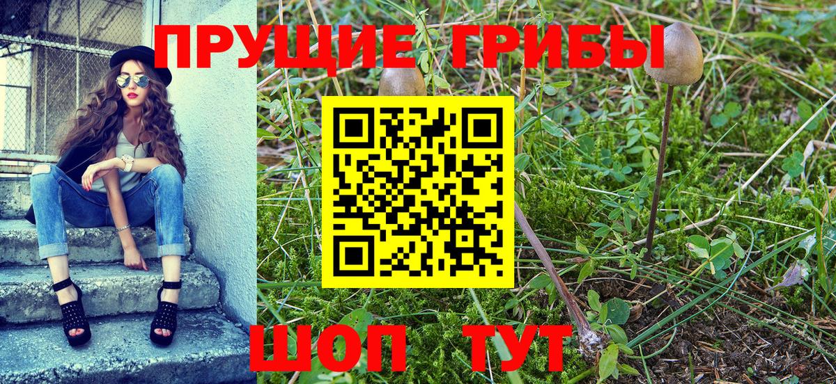 закладка  Галлюциногенные грибы Cubensis  Череповец  Вход с VPN  Галлюциногенные грибы прущие грибы 