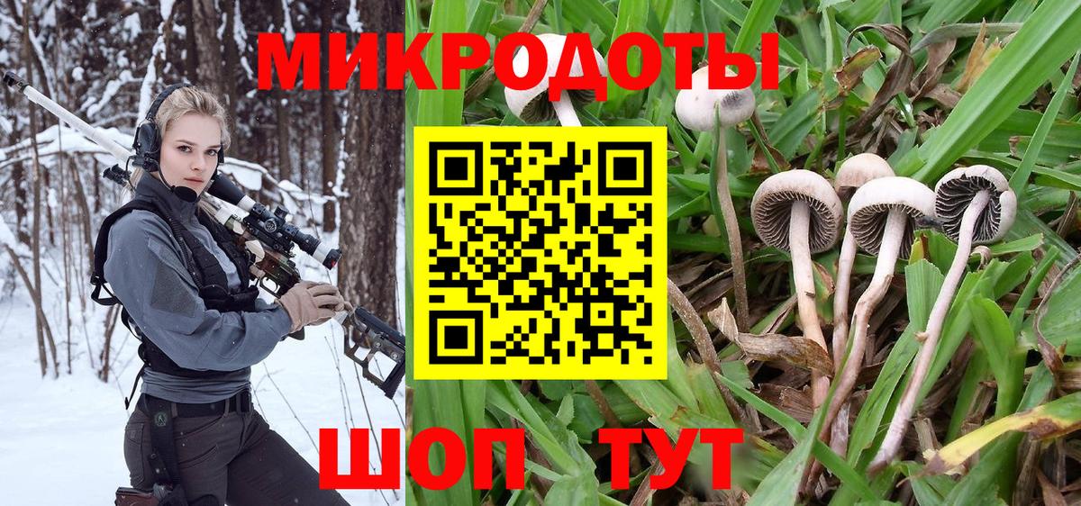 Псилоцибиновые грибы мухоморы Череповец